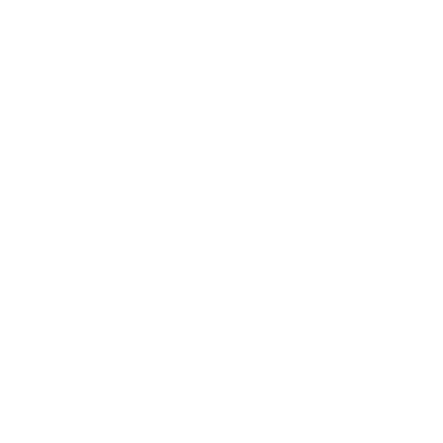 Llaquina